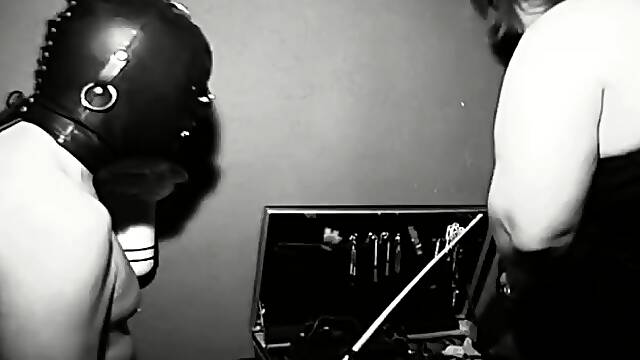 Dominant Kvinna Videor