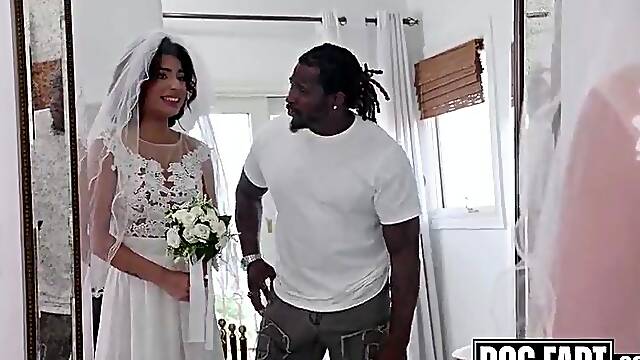 DOGFART - Hawt Hazel Hearts Final Ride - Bride Cheats with Monster Shlong Previous to Saying I Do